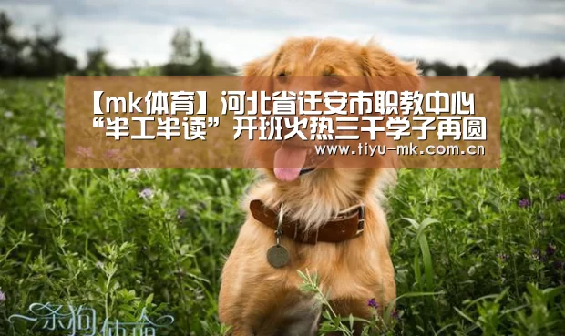 mk体育下载