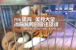 mk体育官方