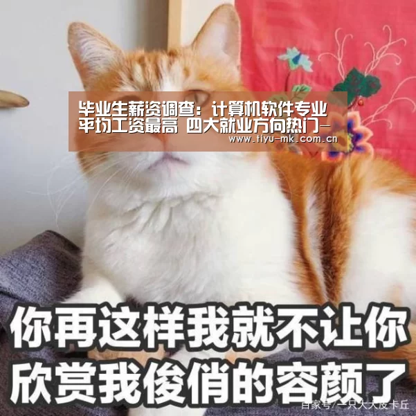 mk体育官方