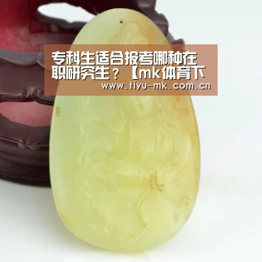 专科生适合报考哪种在职研究生?【mk体育下载】(图1) mk体育官方