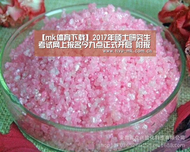 【mk体育下载】2017年硕士研究生考试网上报名今九点正式开启 附报名通道入口(图1) mk体育官方