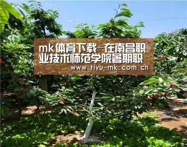 mk体育下载-在南昌职业技术师范学院暑期职教师资培训班开学典礼上的讲话(图3) mk体育下载