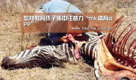 怎样教育孩子集中注意力“mk体育app”(图1) mk体育官方