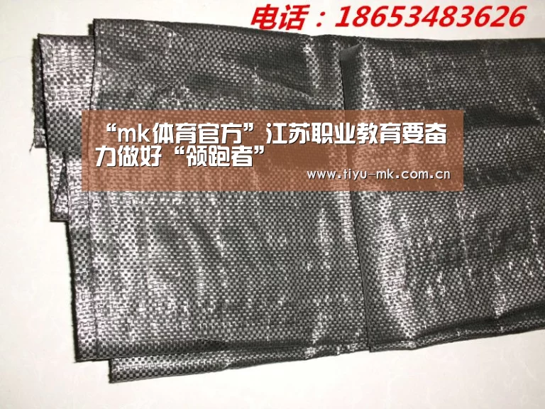“mk体育官方”江苏职业教育要奋力做好“领跑者”(图1) mk体育app